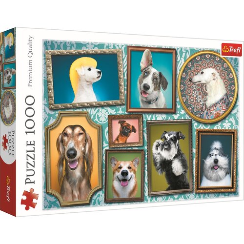 Doggies Gallery